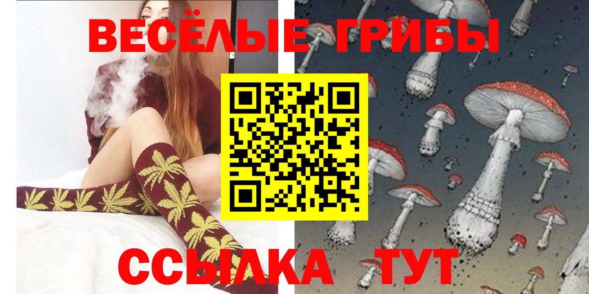 Лангепас  Псилоцибиновые грибы Psilocybe  купить наркотики сайты  Вход с VPN 