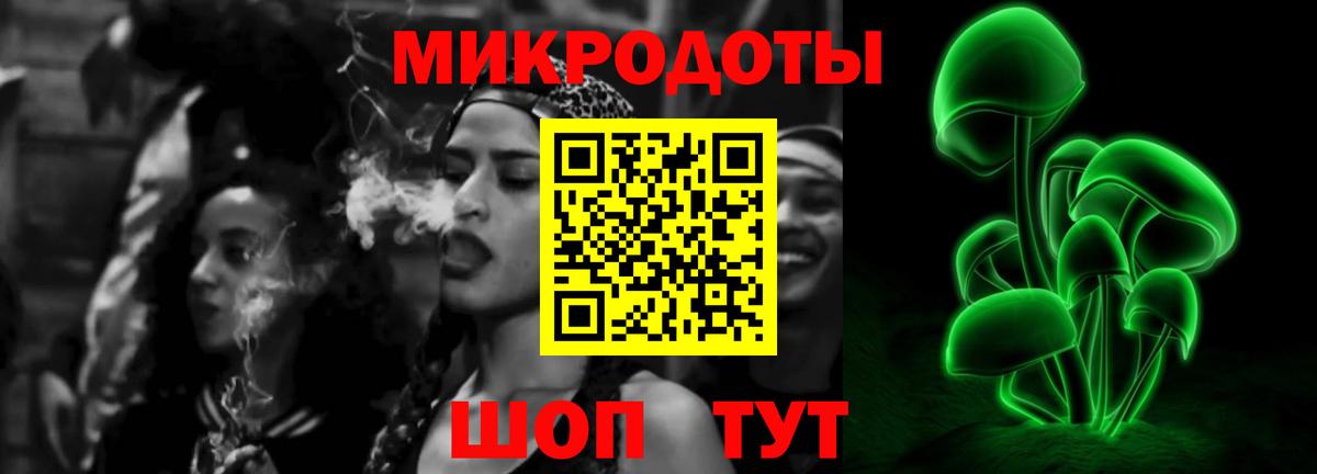 Галлюциногенные грибы Psilocybe Лангепас